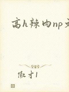高h辣肉np文