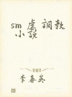 sm 虐 调教 小说