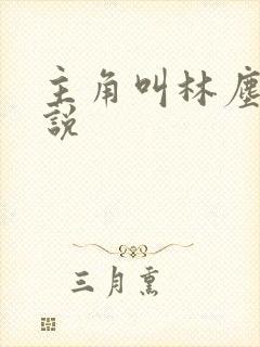 主角叫林尘的小说