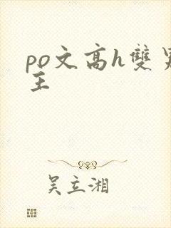 po文高h双男主