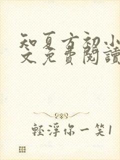 知夏方初小说全文免费阅读最新章节