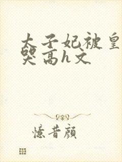 太子妃被皇上c哭高h文封面