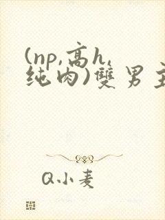 (np,高h,纯肉)双男主