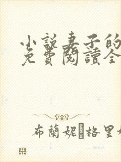 小说妻子的秘密免费阅读全文