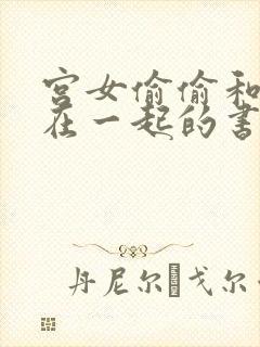 宫女偷偷和皇上在一起的书封面