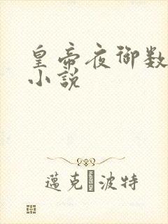 皇帝夜御数女的小说封面