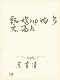 韩娱np肉多荤文高h