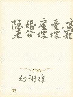 隐婚蜜爱,高冷老公坏坏宠封面