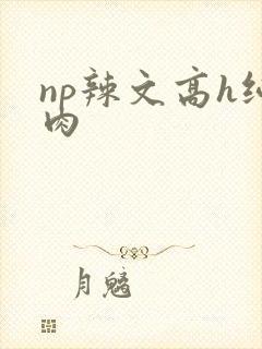 np辣文高h纯肉