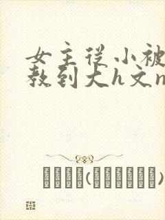 女主从小被肉调教到大h文np