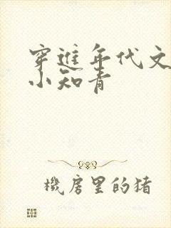 穿进年代文主攻小知青