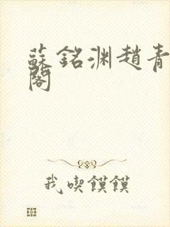 苏铭渊赵青笔趣阁