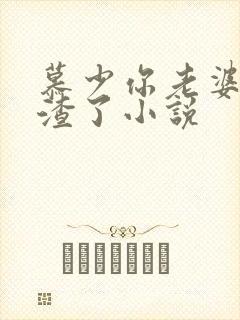 慕少你老婆又虐渣了小说封面