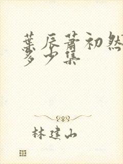 叶辰萧初然总共多少集