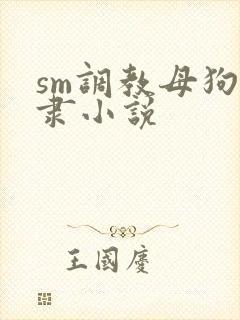 sm调教母狗奴隶小说
