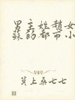 男主姓赵女主姓苏的都市小说