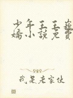 少年王王巍李娇娇小说免费听书在线封面