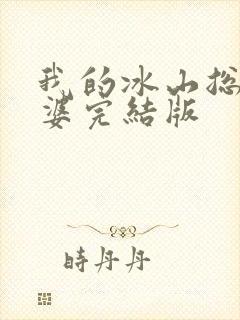我的冰山总裁老婆完结版