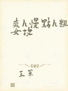 爽h慢点h粗h女攻封面