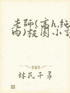 老师(高h,纯肉)校园小说