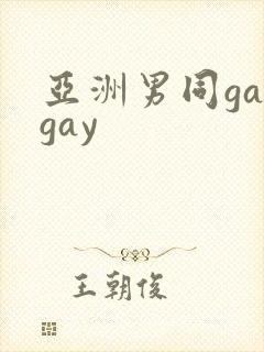 亚洲男同gaygay