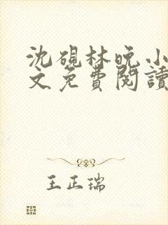 沈砚林晚小说全文免费阅读