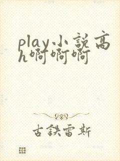 play小说高h啊啊啊