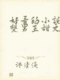 好看的小说推荐双男主甜文