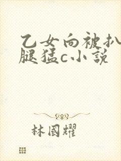 乙女向被扒开双腿猛c小说