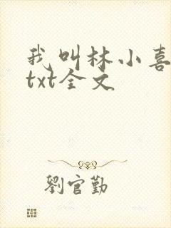 我叫林小喜乖宝txt全文