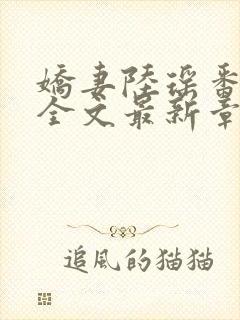 娇妻陆瑶番外篇全文最新章节更新时封面