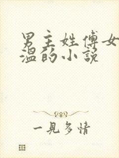 男主姓傅女主姓温的小说