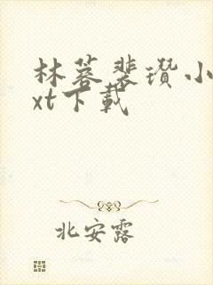 林蓉裴瓒小说txt下载