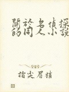 关于名侦探柯南的同人小说