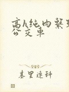 高h纯肉系列h公交车