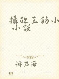 摄政王的小闲妻 小说