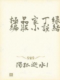 极品家丁绿帽改编版小说结局封面