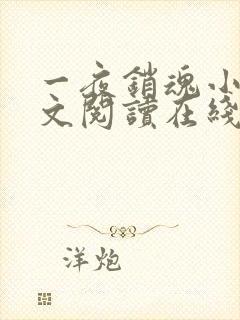 一夜销魂小说全文阅读在线