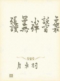 张曼小说免费阅读无弹窗最新章节