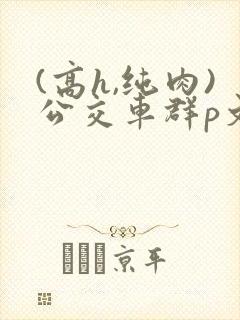 (高h,纯肉)公交车群p文小说