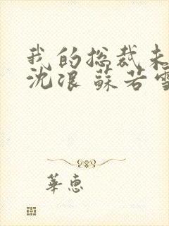 我的总裁未婚妻沈浪 苏若雪