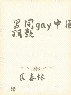 男同gay中国调教
