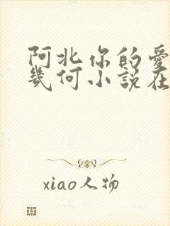 阿北你的爱价值几何小说在线阅读