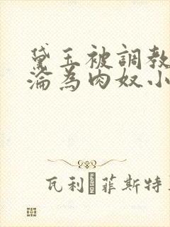 黛玉被调教喷水沦为肉奴小说封面