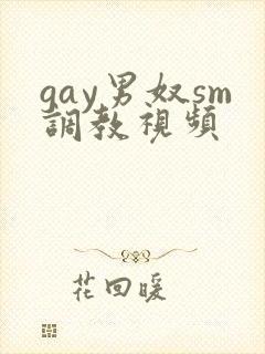 gay男奴sm调教视频