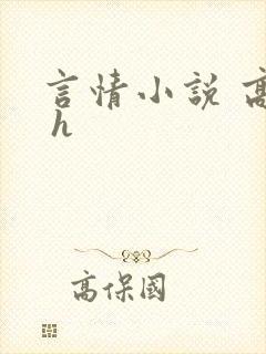 言情小说 高干 h