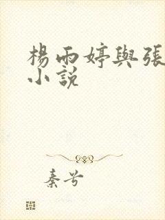 杨雨婷与张书记小说