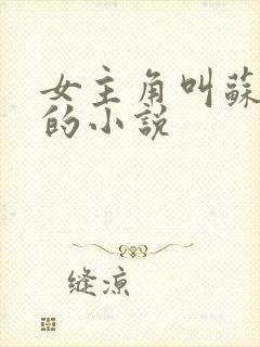 女主角叫苏若雪的小说