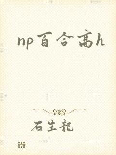 np百合高h