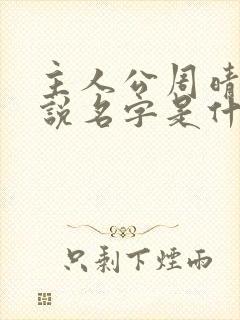 主人公周晴的小说名字是什么